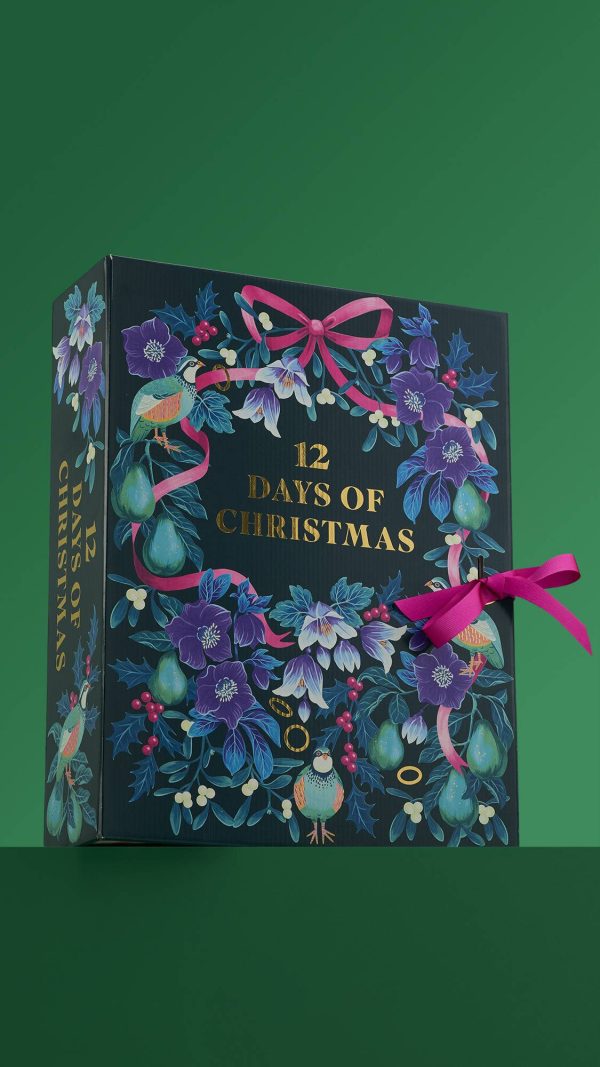 12 Days Of Christmas And a partridge in a pear tree