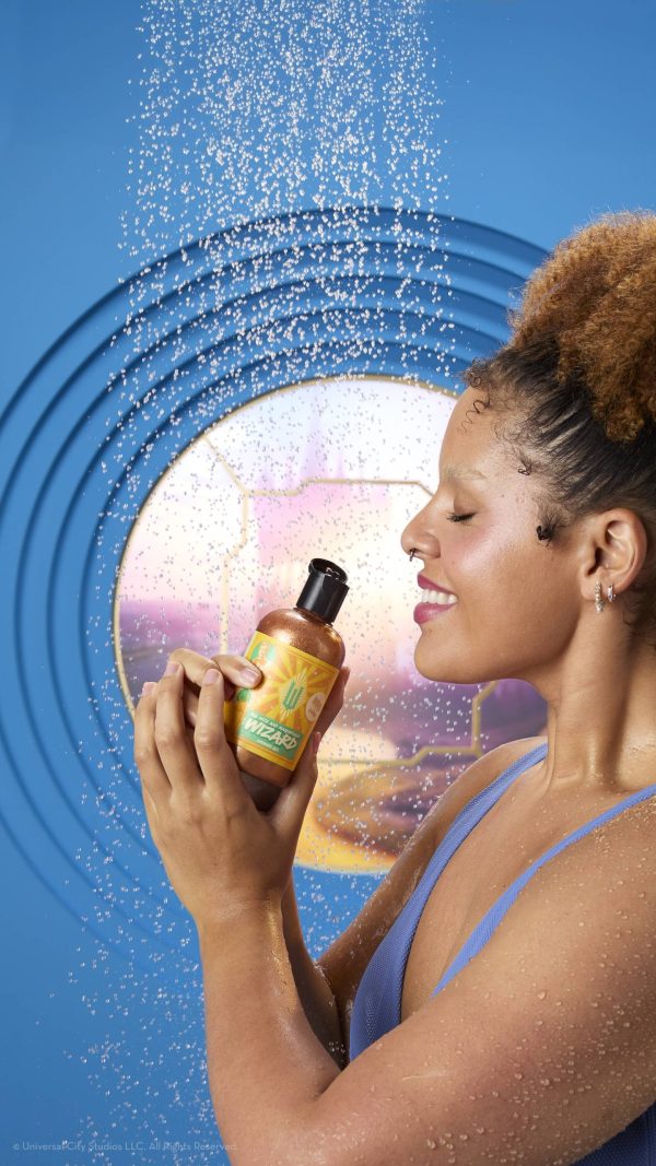 The Wize And Magnificent Wizard All is not as it seems