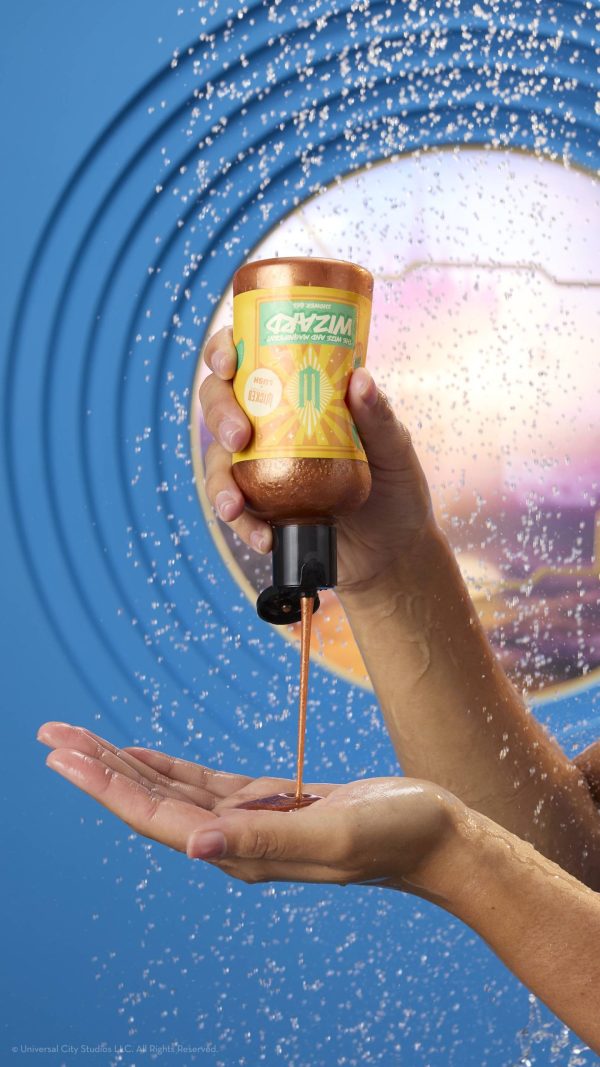 The Wize And Magnificent Wizard All is not as it seems