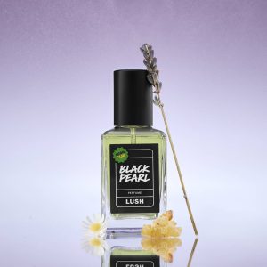 Black Pearl Sail away from the storm