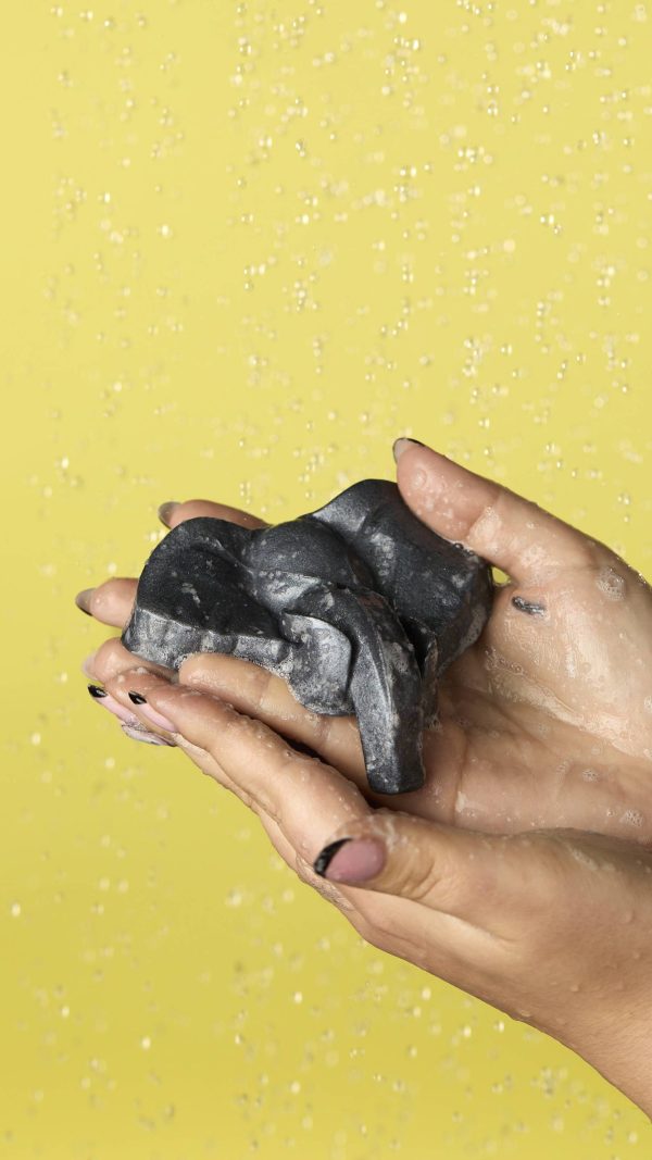 Elephant Jelly Creating a wildlife corridor to protect threatened mammals in Cameroon