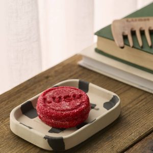 Phoenix Soap Dish Hold all your soaps and dreams